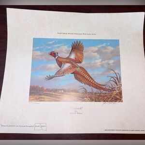 Pheasant Print S.D. Ring neck pheasant by John S.Wilson signed unframed 12x14